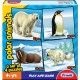 Frank Polar Animals